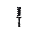 Duralast Suspension Strut and Coil Spring Assembly LS33-81561L