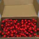 30 Pack Artificial Red Berry Stems,8 Inch Fake Burgundy Berry Picks for Christmas Tree Decorations Crafts for Christmas Wreath Wedding Holiday Home Decor