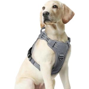 rabbitgoo Dog Harness Medium Sized No Pull, Tactical Service Pet Vest with Molle and Control Handle, Adjustable and Reflective Military Harness for Easy Walking and Training, Grey, M