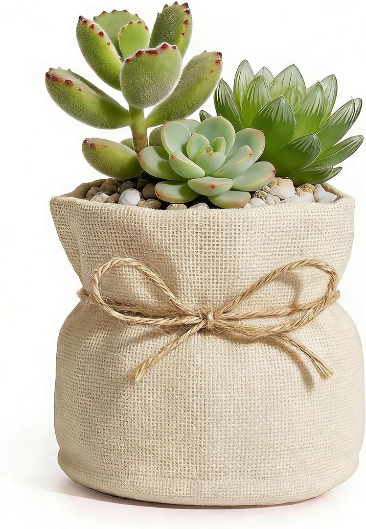 Succulent Pots Flower Pots for Indoor Plants Cute Plant Pots Candy Bowl for Office Key Holder Bowl Farmhouse Table Decor (White) (Large)
