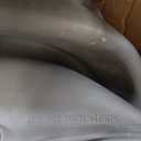 Compatible Replacement for use with Whirlpool Washer Door Bellow 8181850 AP3128710 PS391621 WP8181850 AP6011740 8181662