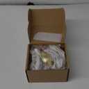 goldenwarm 20 Pack 3 in Light Brass Bin Cup Pulls Brushed Gold Cabinet Pulls Gold Cup Drawer Dresser Hardware Closet Door Pulls (20 packs)