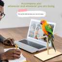 3 Pcs Bird Training Stand Kit, Parrot Training Clicker Portable Tabletop Bird Perch and Target Stick, Wooden Spin Perch Clickers with Wrist Strap for Parakeet Conure Lovebird Cockatiel