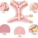 Didog Cute Small Dog Harness Collar and Leash Set with Bowtie, Breathable Soft Mesh Padded Puppy Harness, Pink Dog Harness for Parties, Holiday Gatherings & Gifts, Pink, S (S: Chest 11.8-15.4", Fit 4-8 lbs)