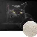 Black Cat Bath Mats for Bathroom Cat Yellow Eyes on Black Background Floor Bath Rugs Machine Washable Bathmat Carpet Rug Room Decor for Shower Floor 16 X 24 in Mat