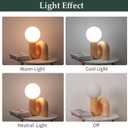 Skyblaze Modern Globe Glass Table Lamp, Decorative Art Decor Night Light, Cute Bedside Desk Lamp for Bedroom Living Room Office Pink Finish