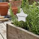 Ceramic Plant Markers - White Double Sided Reusable Tags for Garden, Herb & Vegetable Labels, Decorative Plant Signs, Star Pack