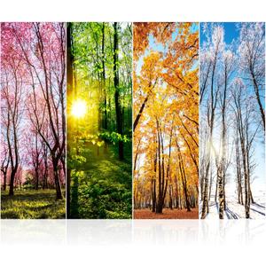 4 Pieces 36 x 12 Inches School Locker Magnetic Wallpaper Removable Magnetic Locker Accessory Kit Easy Install Decoration Sticker for Office University First Day of School Decor(Forest Style)