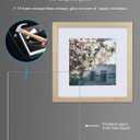 12x12 Picture Frame Matted to 10x10 or 8x8 or Display 12x12 without Mat,Solid Pine Wood, Tempered Glass Cover - 12 by 12 Square Photo Frames for Wall Mounting Home Office,1 Pack,Natural