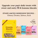 Bocce's Bakery Oven Baked PB & Banana Recipe Treats for Dogs, Wheat-Free Dog Treats, Made with Real Ingredients, Baked in The USA, Natural Peanut Butter & Banana Biscuits, 14 oz (EXP 03/01/27)