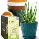 6 Inch Indoor Planter Pots with Drainage Hole and Tray Saucer,Flower Pots for Indoor Outdoor Garden Plants and Flowers, Multicolor, 5 Packs