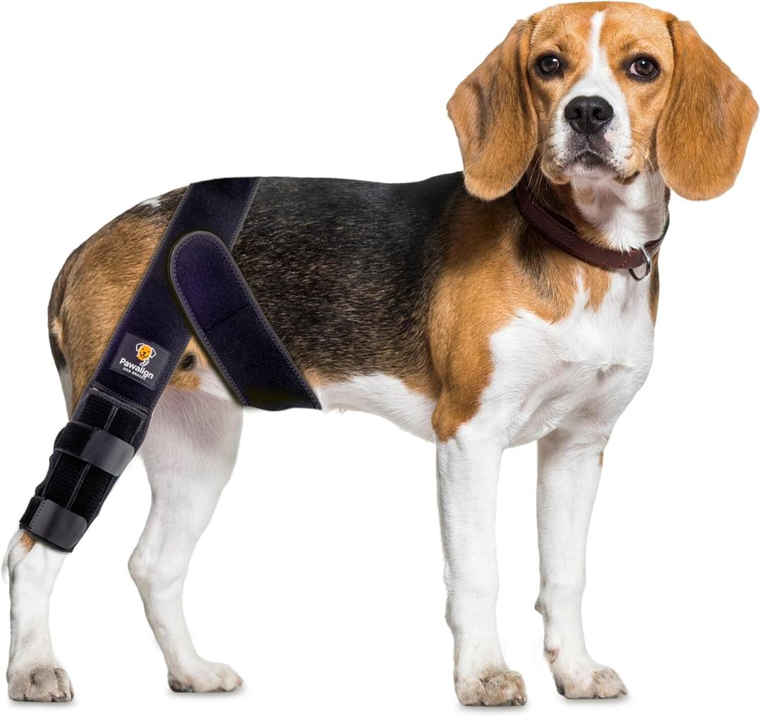 Dog Knee Brace for Torn ACL Hind Leg - Adjustable Dog Leg Brace for Back Leg and Front Leg Support, Knee Brace for Dogs, Promotes Stability and Recovery, Extra Small (XS)