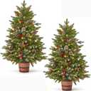 TigeJoy 4FT Flocked Potted Trees, Warm LED Battery Operated, 2-Pack