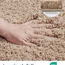 ILANGO Beige Bathroom Rugs 24" 17" Small Non Slip & Super Absorbent Extra Thick Soft, Washable Bath Mat for Floor, Microfiber Plush Shaggy Bath Rug with Rubber for Bathtub Shower Room Sink