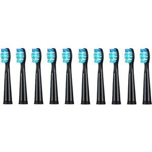 Universal toothbrush head 10 PCS