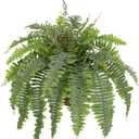 Hollyone 25" Artificial Boston Fern Hanging Basket 31 Leaves Fake Ferns in Rattan Pot Medium Greenery Plants for Outdoors & Indoor Faux Fern Bush Basket Plant Patio Garden Home Decor Dusty Green