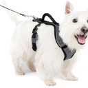 PetSafe EasySport Dog Harness - Padded, Adjustable Dog Harness with Control Handle and Reflective Piping - Great for Active Dogs - from The Makers of The Easy Walk Harness - Small, Charcoal
