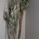 Faux Olive Tree 7ftOlive Trees Artificial Indoor with Natural Wood Trunk and Realistic Leaves and Fruits. 7 Feet(84in) Fake Olive Tree for Home House Office Dcor.