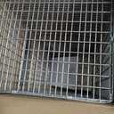 HAVAHART 1079SR Large 1-Door Humane Catch and Release Live Animal Trap Cage - Live Raccoon Trap, for Bobcats, Beavers, Dogs, & More