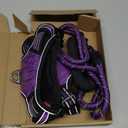 No Pull Dog Harness Adjustable Reflective Oxford Easy Control Medium Large Dog Harness with A Free Heavy Duty 5ft Dog Leash, L