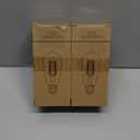 12V Edison Bulb Low Voltage Warm White 2700K E26 Base, DC/AC 12V 24V 36V LED Light Bulbs 40W Equivalent Smoky Grey Glass for RV Camper, 2 Pack