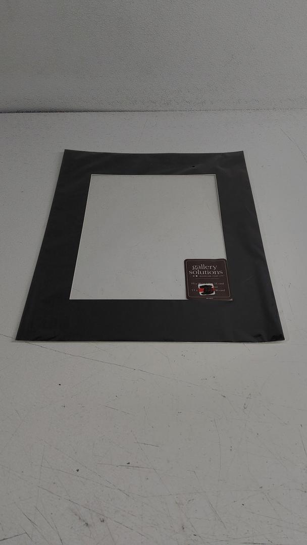 GALLERY SOLUTIONS  16"X20" in