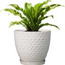 G EPGardening 8 Inch Plant Pot for Indoor Outdoor Plants Round Ceramic Planter Pot with Drainage Hole and Saucer Modern Large Flower Pot White