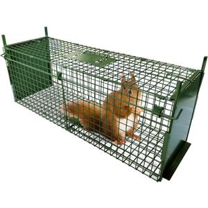ARIFARO Animal Cage Trap (31" L x 10" W x 11" H) Humane Live Cage Trap Double-Door Metal Capture Cage for Skunks,Raccoons,Rabbits,Stray Cats,Squirrels,Moles,Gophers
