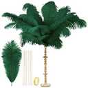 CROWN GUIDE Black Ostrich Feathers Bulk - 10 Pieces Making Kit 28 Inch Long Large Feathers for Crafts Vase Centerpieces Feather Lamp Wedding Party Pack Flower Arrangement Home Decoration, Green