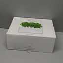 Click & Grow Indoor Herb Garden Kit with Grow Light | Smart Garden for Home Kitchen Windowsill | Easier Than Hydroponics Growing System | Vegetable Gardening Starter (3 Basil Pods Included), White