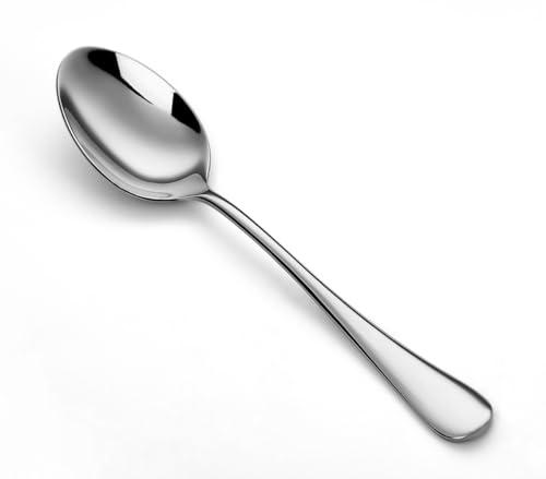 WYT Teaspoons Set of 6, Stainless Steel Silverware Dessert Spoon, Coffee Spoon, Mirrored Finish, Dishwasher Safe, 6.7 Inches