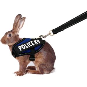 Rabbit Harness with Leash for Bunny Rabbits Cats Small Animals (Blue)