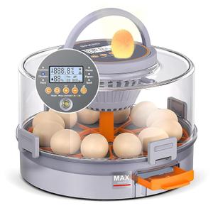 12 Egg Incubators for Hatching Eggs, Automatic Egg Turning & Humidity Control Intelligent Temp Eggs Candler for Chicken Quail Duck etc. Eggs, Suit for Beginner Backyard Hobbyist Students Education