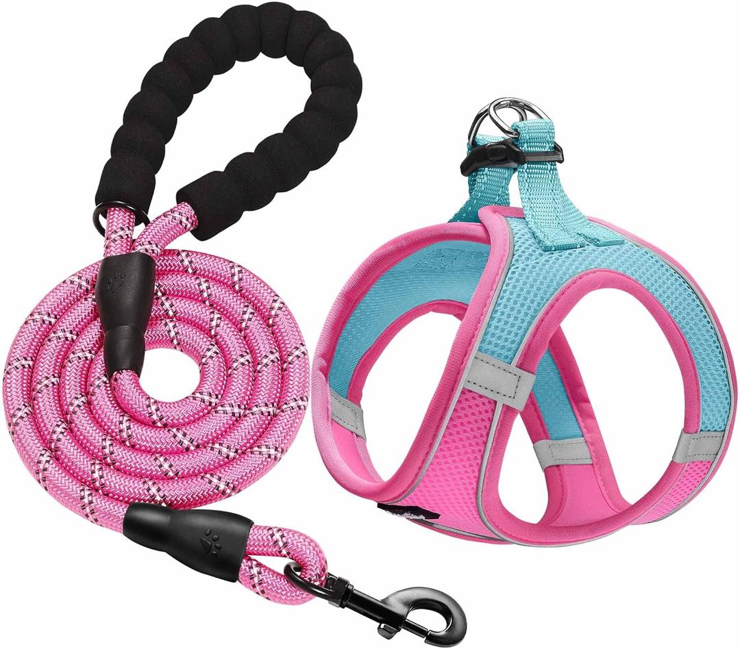 haapaw Dog Harness with Leash Set, No Pull Adjustable Reflective Step-in Puppy Harness with Thickened Padded Vest for Extra-Small/Small Medium Dogs (XS, Blue / Pink) haapaw Dog Harness with Leash Set, No Pull Adjustable Reflective Step-in Puppy Harness with Thickened Padded Vest for Extra-Small/Small Medium Dogs (XS, Blue / Pink)