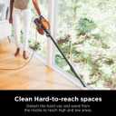 Shark Rocket Ultra-Light Corded Bagless Vacuum for Carpet and Hard Floor Cleaning with Swivel Steering (HV301), Gray/Orange