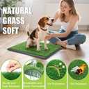 Reusable Pet Grass Potty w/ 2-Pack Replaceable Artificial Grass Quick Absorbent Indoor Portable Pet Training Patio Potty Washable Pee Pad Box Toliet (Medium-20x25In)