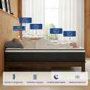 Queen Mattress in a Box, Hybrid Mattresses Queen Size 10 Inch