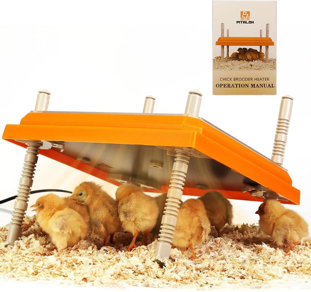 Brooder Heater for Chicks: Chick Brooder Heating Plate with Easy- Cleaning Plate Poultry Coop Heater Chicks Warmer 10" x 10" for 15 Chicks Adjustable Height Brooding Heater 15 Watts