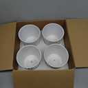 Plant Pots - 5.5 Inch Cylinder Ceramic Planters with Connected Saucer, Pots for Succuelnt and Little Snake Plants, Set of 4, White