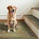 sarben Carpet Stair Treads Non Slip 1PCS, 30" X 30"Edging Stair Runner for Wooden Steps Indoor, Resistant Stair Rugs with Reusable TPE Adhesive Backing, Residue Free Mat for Kids,Pets,Vintage Sage