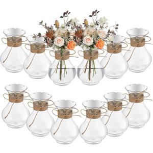 Bokon 5.7" Plastic Small Vases for Centerpieces, Plastic Bud Vase Bulk, Hyacinth Avocado Growing Vases, Tiny Flower Bulb Plant Propagation Containers for Wedding Living Room Table Decorations(12 Pcs)