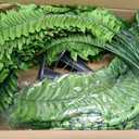 2PCS 45in Fake Ferns- Large Artificial Plants Outdoor, UV Resistant Artificial Ferns for Outdoors, 60 Branches Faux Boston Fern Realistic Weatherproof Fake Plants for Porch Home Patio Hanging Decor
