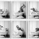 Funny Bathroom Decor Wall Art Cute Black and White Animals in Bathtub Rustic Farmhouse Home Wall Decor Giraffe Penguin Elephant Pictures Prints for Living Room Kids Bathroom,(6PCS, 8"x10", Unframed)