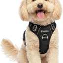 Dog Harness Small Sized Dog, Vertical Handle Easy Control, No Pull Pet Vest Adjustable with 2 Leash Clips, Soft Material, Reflective Safe Night Walking for Small Medium Large Breed, Black, Size Medium