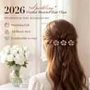 Sparkling Crystal Stone Braided Hair Clips, 2026 New Rhinestone Hair Clips Hair Braid Clips, Girls/Women Hair Accessories for Styling Sectioning (1#)