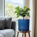 Eightpot Plant Water Catcher Tray - Ceramic Plant Saucer for Outdoors 7.5 Inch Plant Pot Saucer Plant Drip Tray for Potted Plants Drainage Decorative Round Flower Pot Saucer Blue