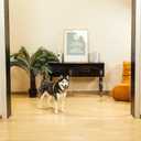 Modern Frame Clear Acrylic Freestanding Dog Gate - 32" Tall Extra-Wide Folding 4-Panel Pet Barrier for Doorways, Stairs & Large Openings, Indoor Fence for Small to Large Dogs & Cats