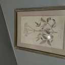 HD Designs Wood Decor, 15.7 in 