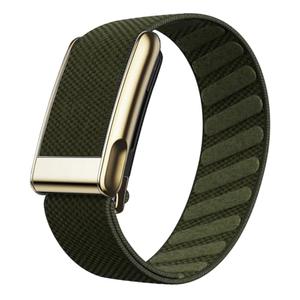 Ultra-Soft Stretchy Nylon Sport Band Compatible with WHOOP 5.0, One, Peak & Life | Adjustable, Breathable, & Sweat-Wicking Replacement Wristbands for Men & Women | NOT for Gen 4 (Forest Wit Gold, Life/MG)