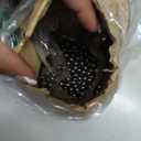 Bearing Balls 2mm